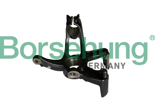 B12113 Borsehung