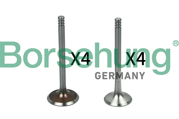 B18144 Borsehung