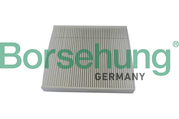 B10529 Borsehung