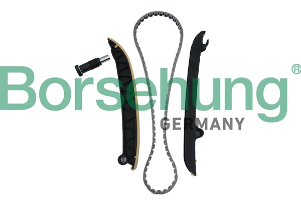 B18296 Borsehung