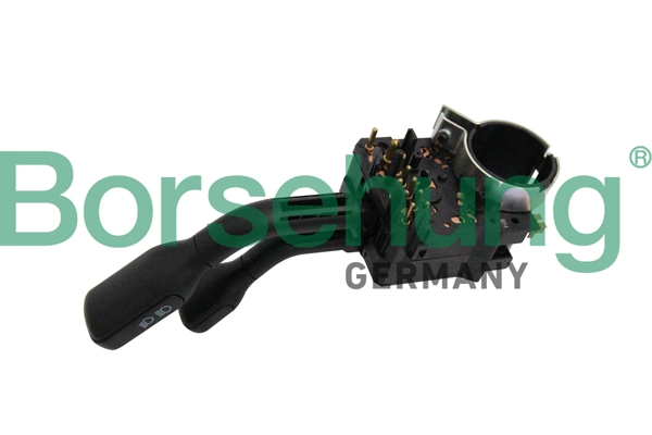 B17952 Borsehung