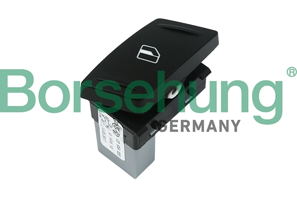 B11405 Borsehung