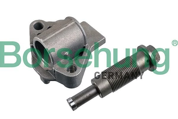 B12593 Borsehung