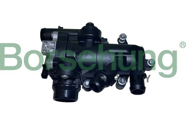 B10555 Borsehung