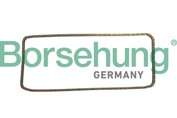 B1C029 Borsehung