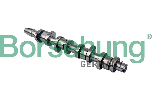 B11323 Borsehung