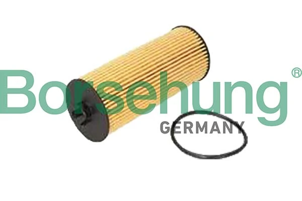 B10443 Borsehung