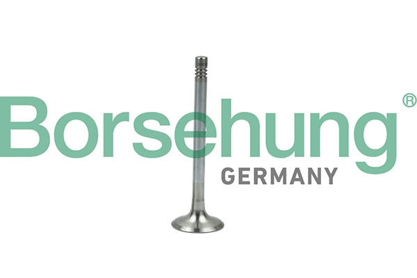 B19005 Borsehung