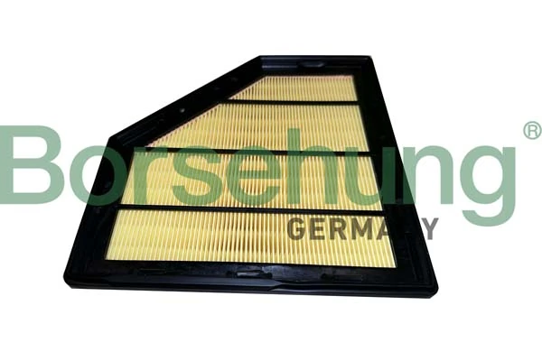 B12452 Borsehung