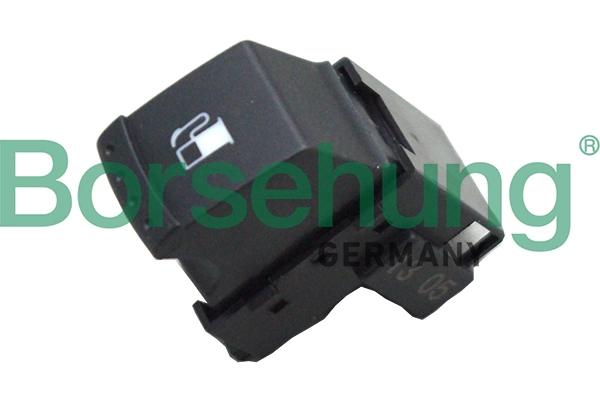 B16155 Borsehung