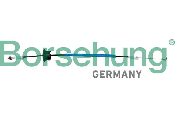 B10785 Borsehung
