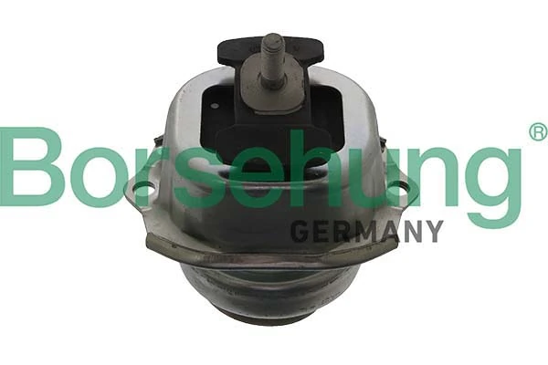 B12633 Borsehung