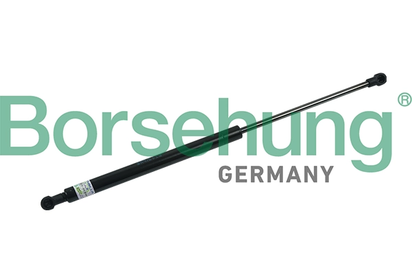 B18454 Borsehung