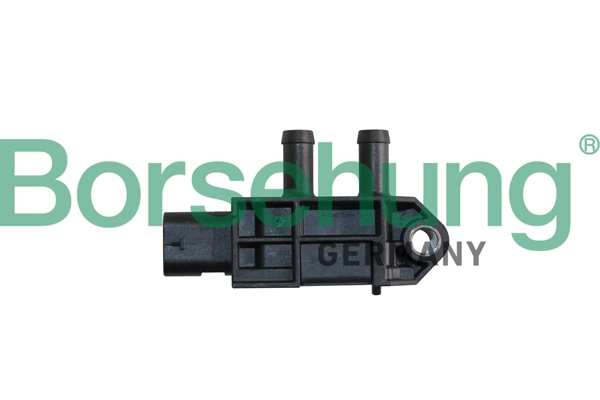 B11882 Borsehung