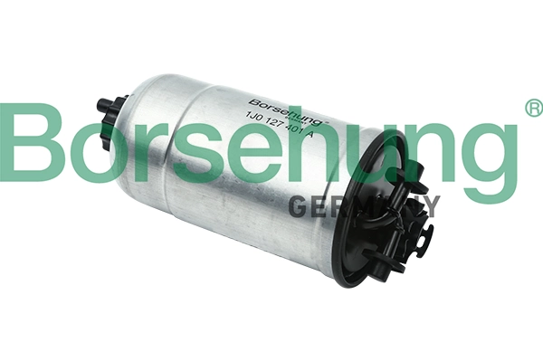 B12824 Borsehung