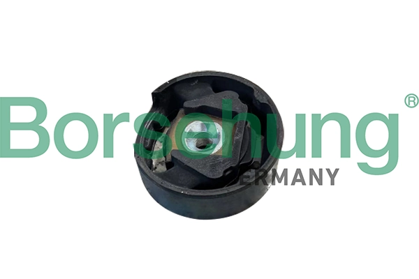 B10032 Borsehung