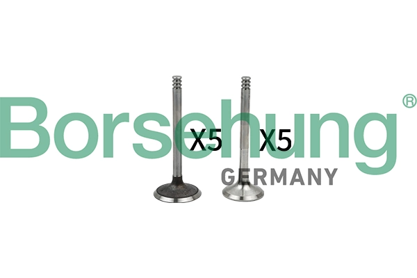 B18662 Borsehung