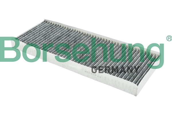 B12817 Borsehung