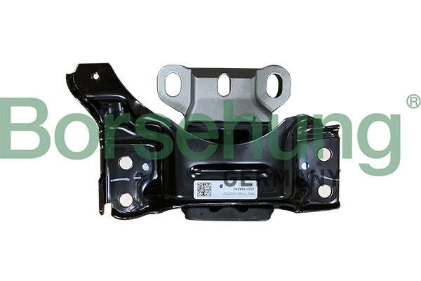 B10987 Borsehung