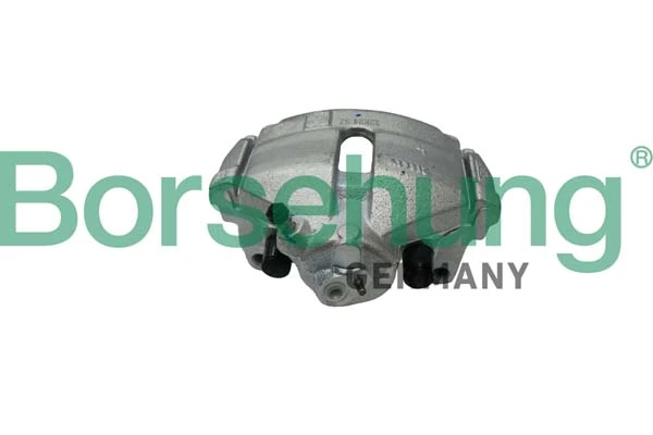 B11370 Borsehung