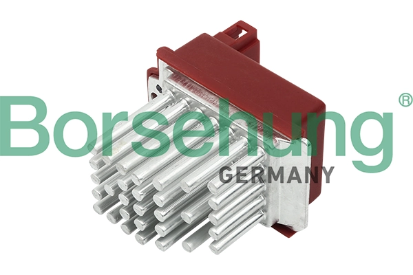 B11450 Borsehung