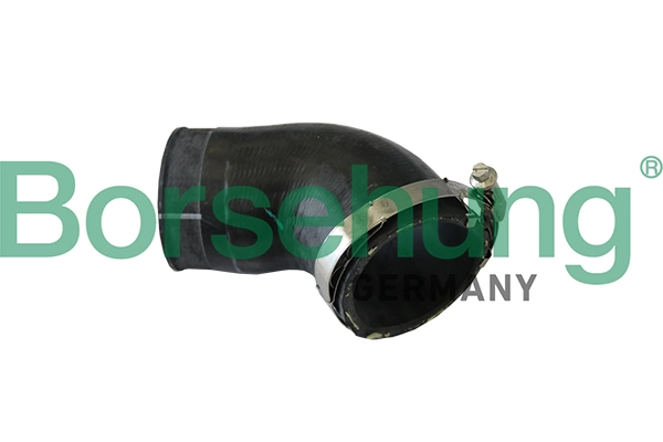 B11973 Borsehung