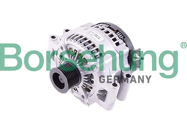 B12669 Borsehung