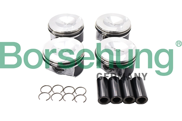 B18741 Borsehung