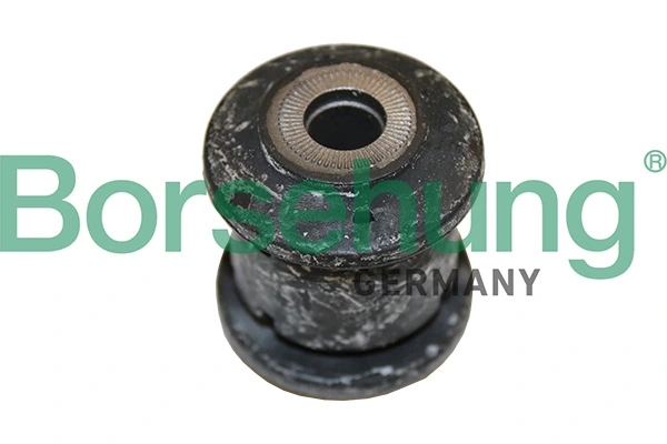 B19074 Borsehung