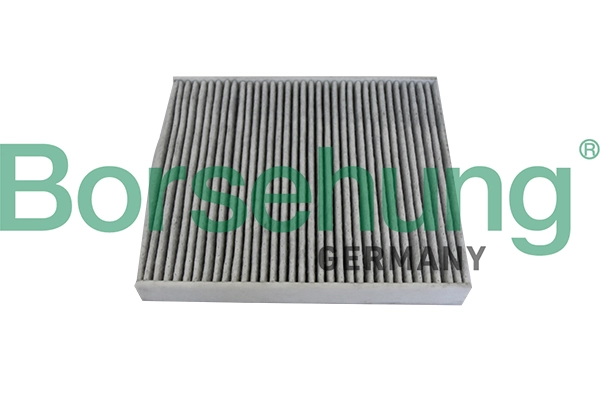 B10534 Borsehung