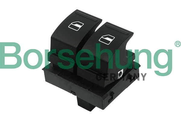 B11413 Borsehung