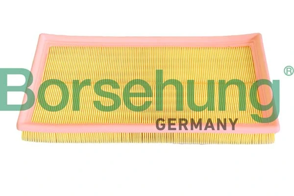B12293 Borsehung