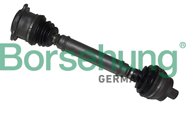 B18376 Borsehung