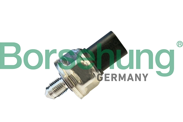 B11869 Borsehung