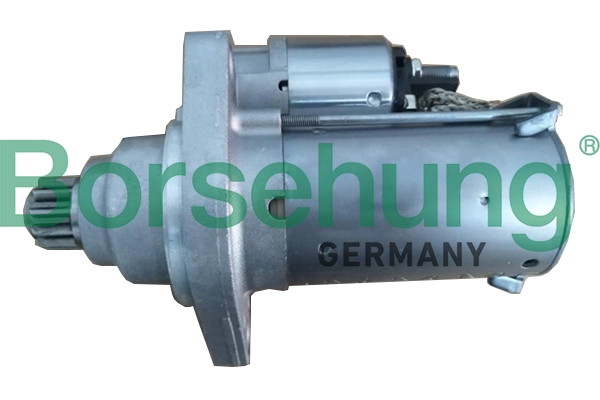 B19156 Borsehung