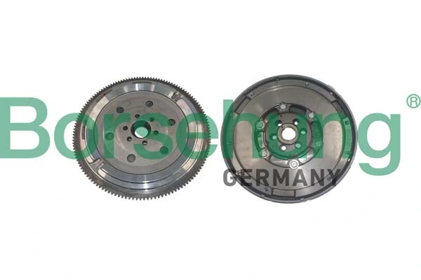 B10920 Borsehung