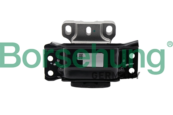 B19113 Borsehung