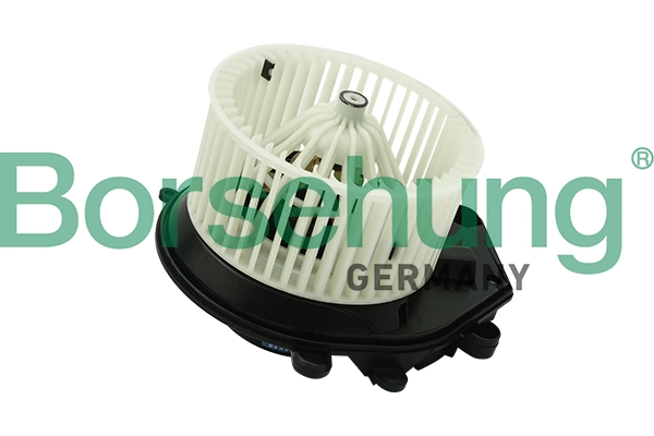 B14595 Borsehung