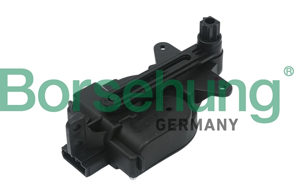 B11453 Borsehung