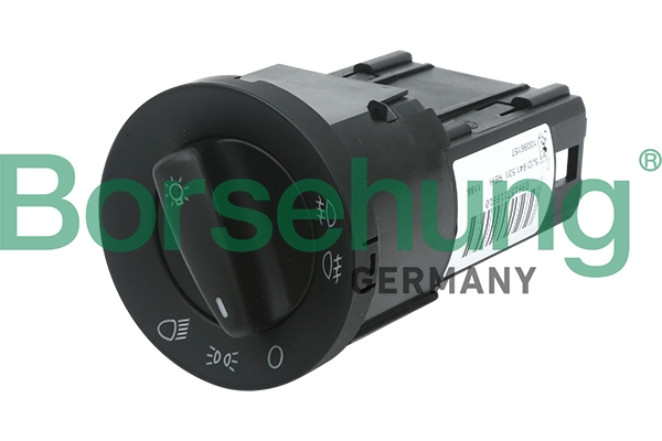 B11399 Borsehung