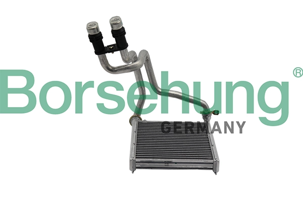 B10876 Borsehung