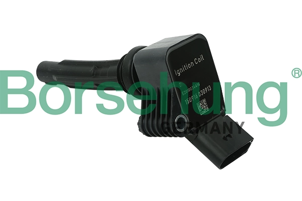 B15118 Borsehung