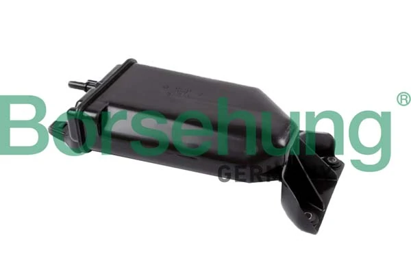 B12430 Borsehung