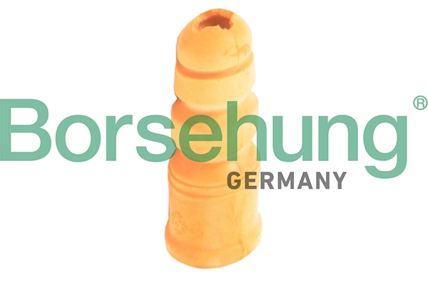 B10017 Borsehung