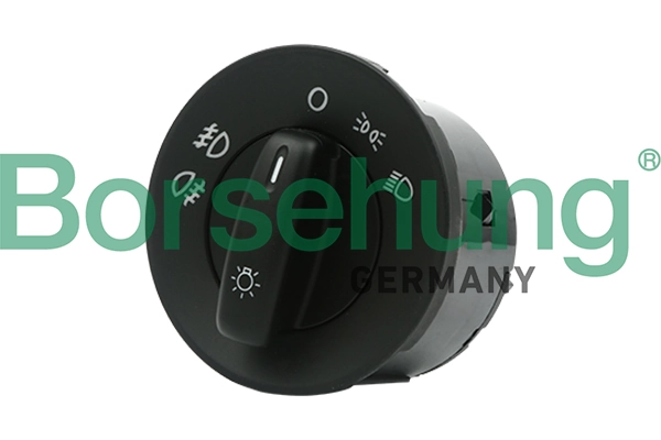 B11398 Borsehung