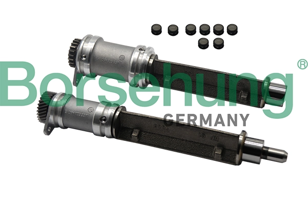 B19131 Borsehung