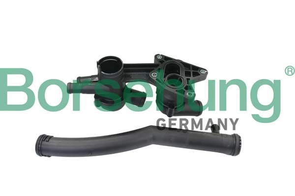 B19086 Borsehung Caja del termostato