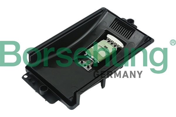 B11460 Borsehung