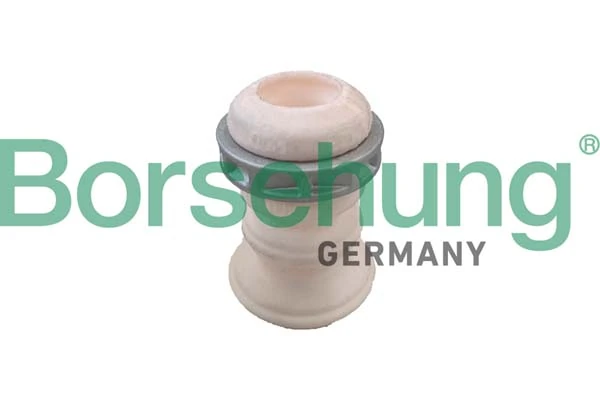 B10008 Borsehung