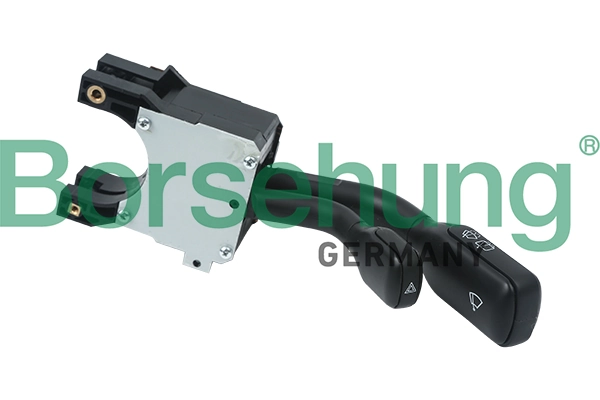 B17955 Borsehung
